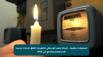 تسهيلات رقمية.. شركة مصر الوسطى للكهرباء تطلق خدمات جديدة للاستعلام والدفع في 2025